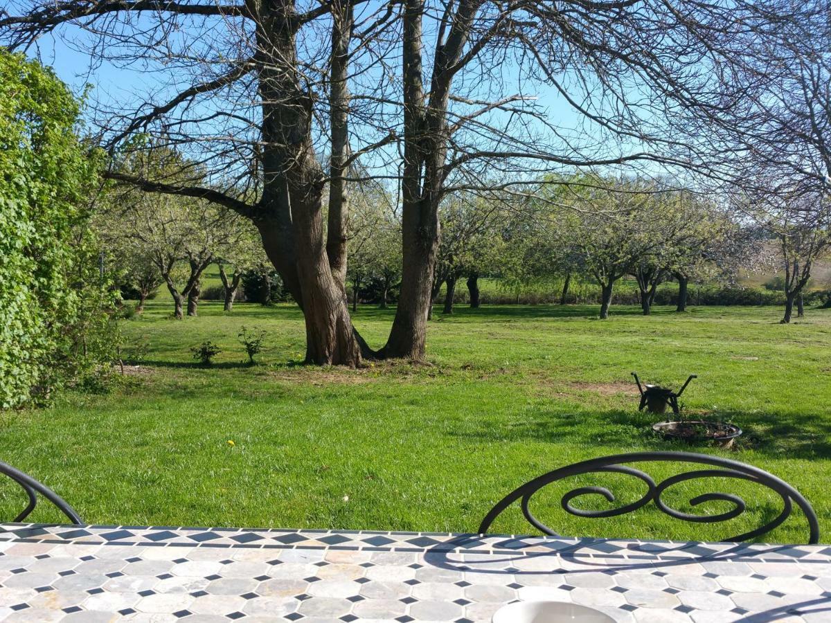 Bed and Breakfast Logis De Chezelles Sidiailles Экстерьер фото